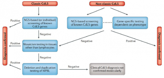Figure 5 Diagnostic pathways for Cornelia de Lange (CdLS) Syndrome.